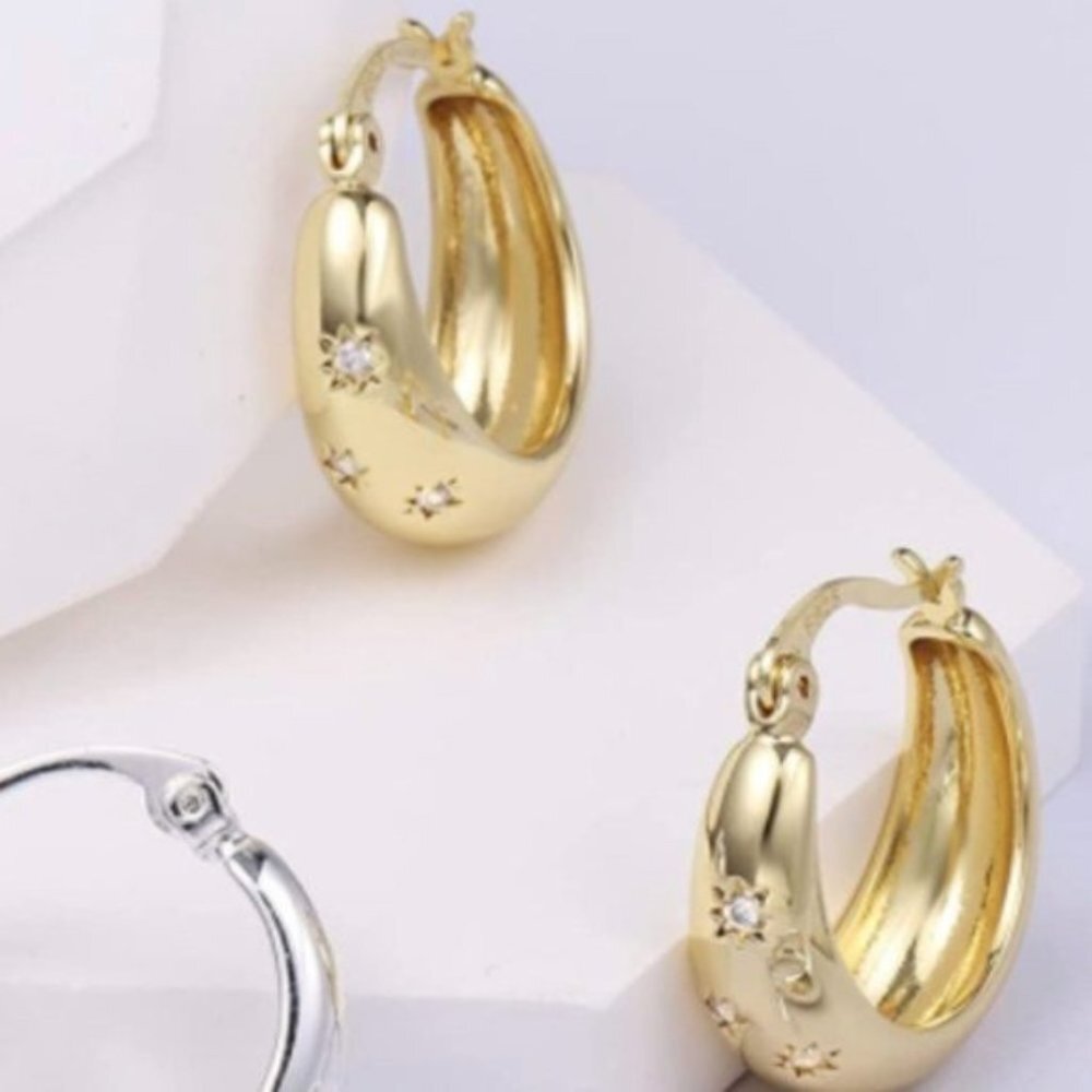 14K Gold CZ Paved Earring